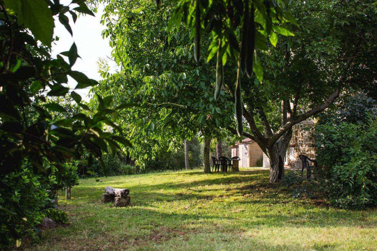 Podere Le Chiuse Sovana Exteriör bild